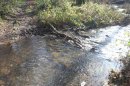 Ruisseau de la Falizette